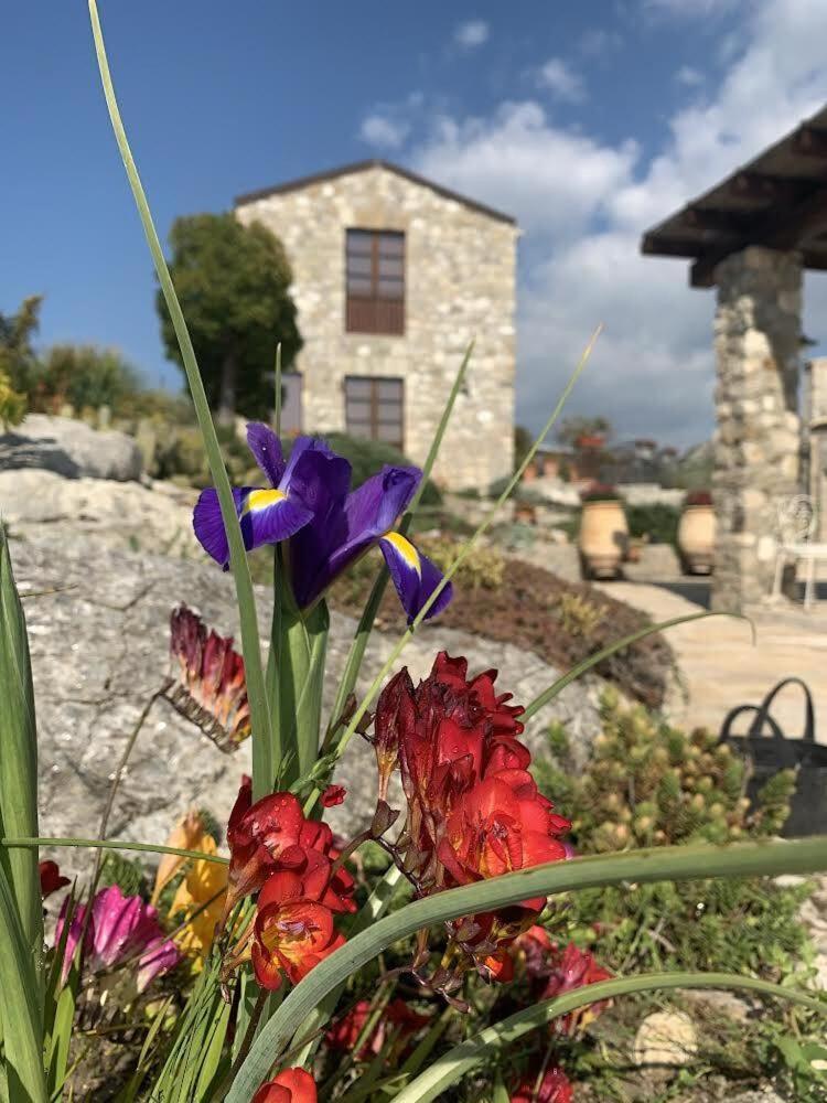 Casa Balata Farm House Realmonte Exterior photo