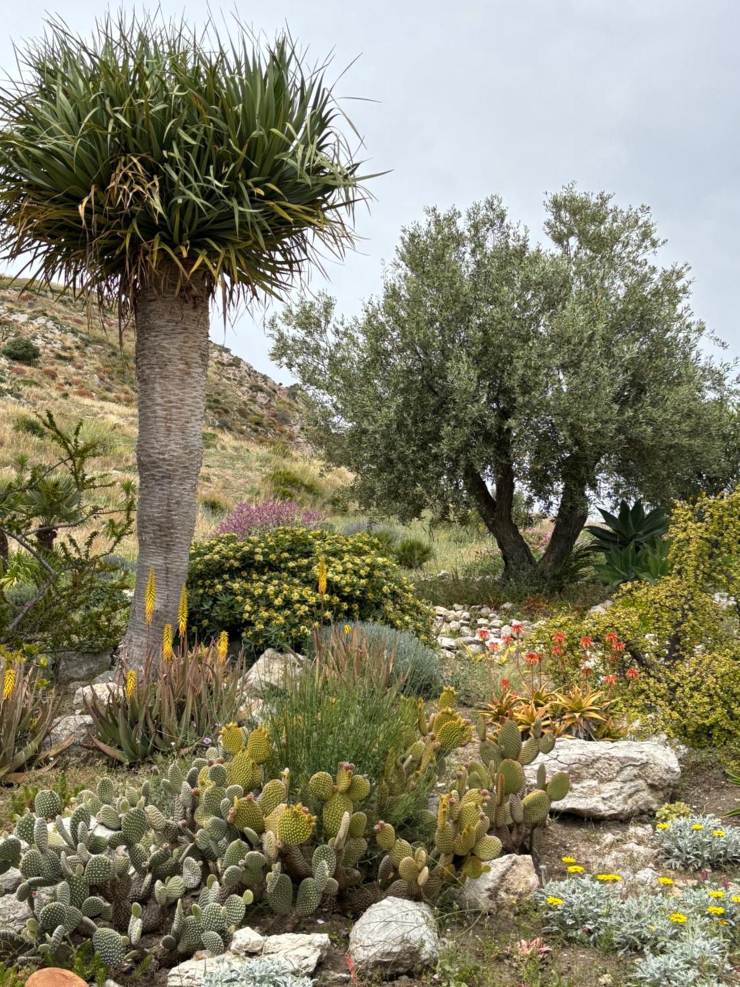 Casa Balata Farm House Realmonte Exterior photo